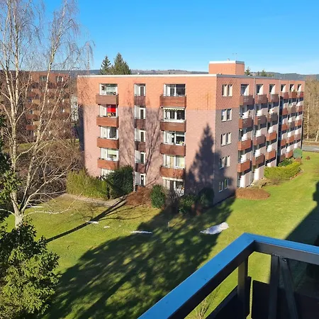 Jola 99952 By Interhome Lejlighed Altenau (Lower-Saxony)