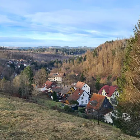 Lejlighed Jola 99952 By Interhome Altenau (Lower-Saxony)