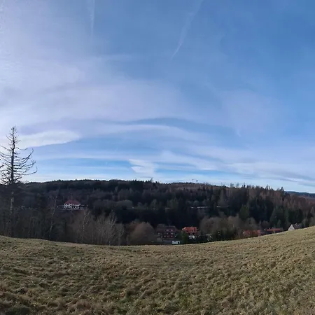 Jola 99952 By Interhome Lejlighed Altenau (Lower-Saxony)